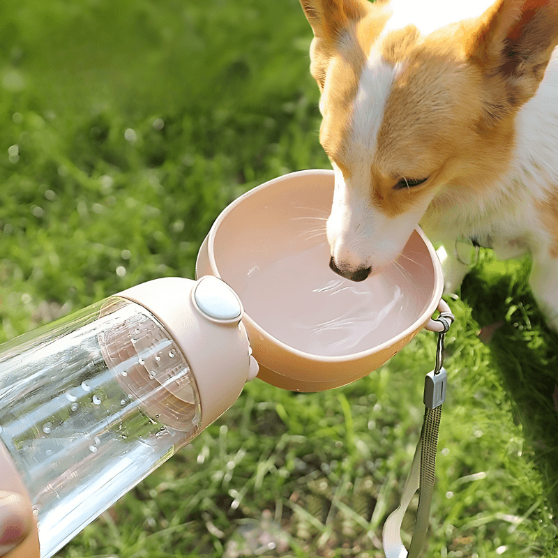 Pet Water Bottle - Pawtunity