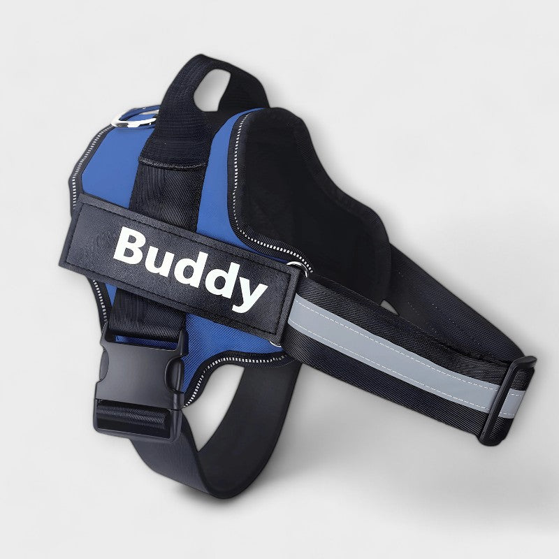 Personalized Dog Harness