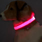 Dog LED Collar