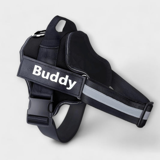 Personalized Dog Harness