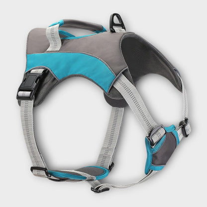 No-Pull Dog Harness