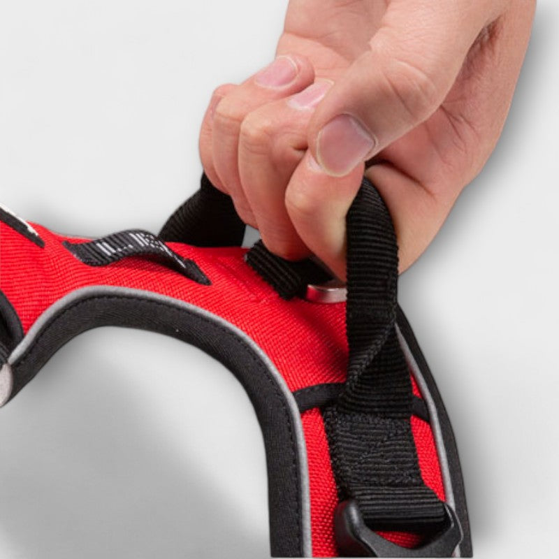 Dog Traction Harness