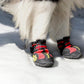 Dog Shoes