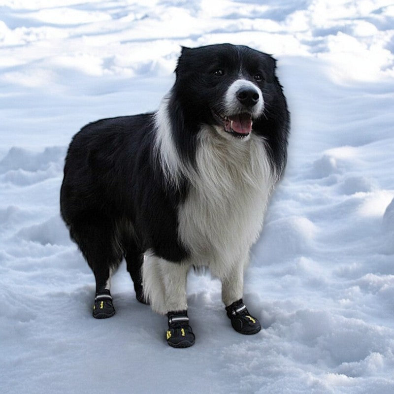 Dog Shoes