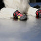 Dog Shoes