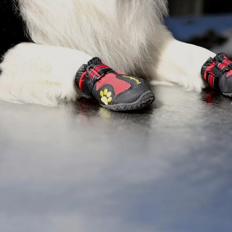 Dog Shoes