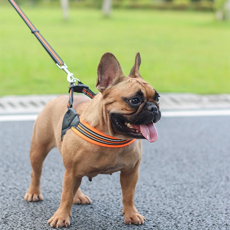 Simple Dog Harness