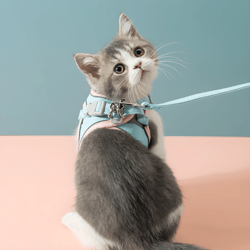 Cat Traction Harness - Pawtunity