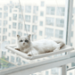 Window Mounted Cat Bed - Pawtunity