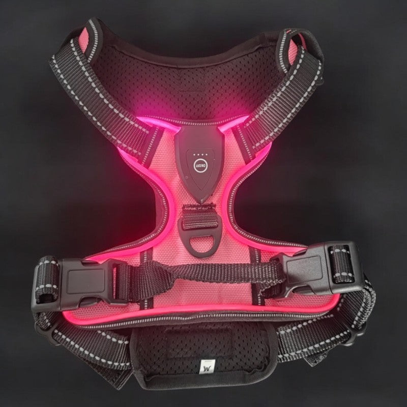 Simple LED Harness