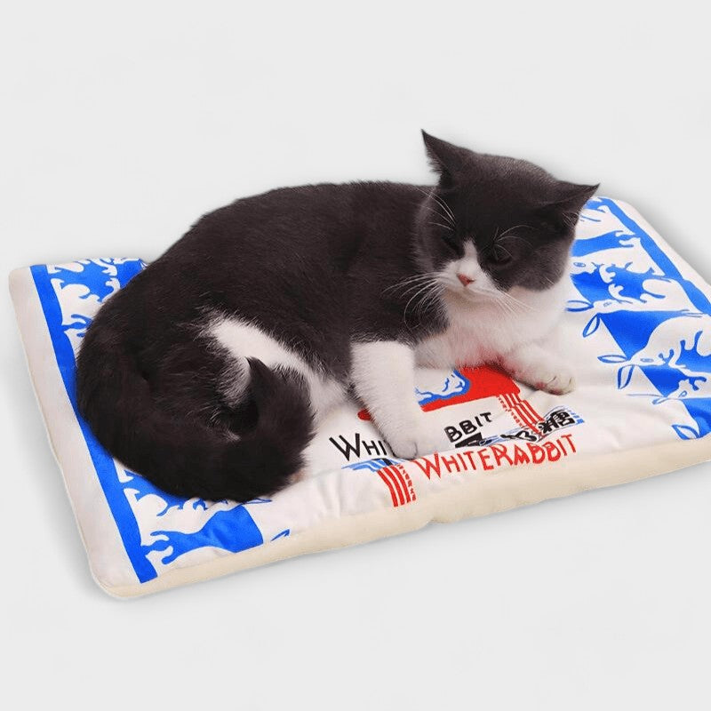 Funny Pet Mat