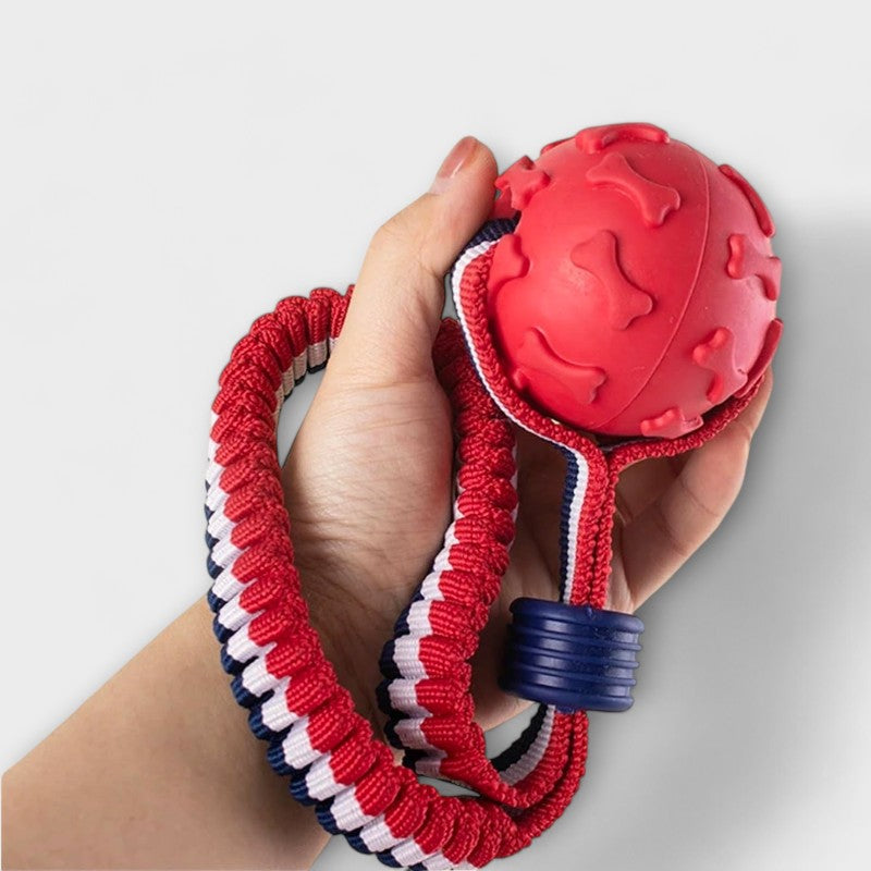 Dog Toy Ball