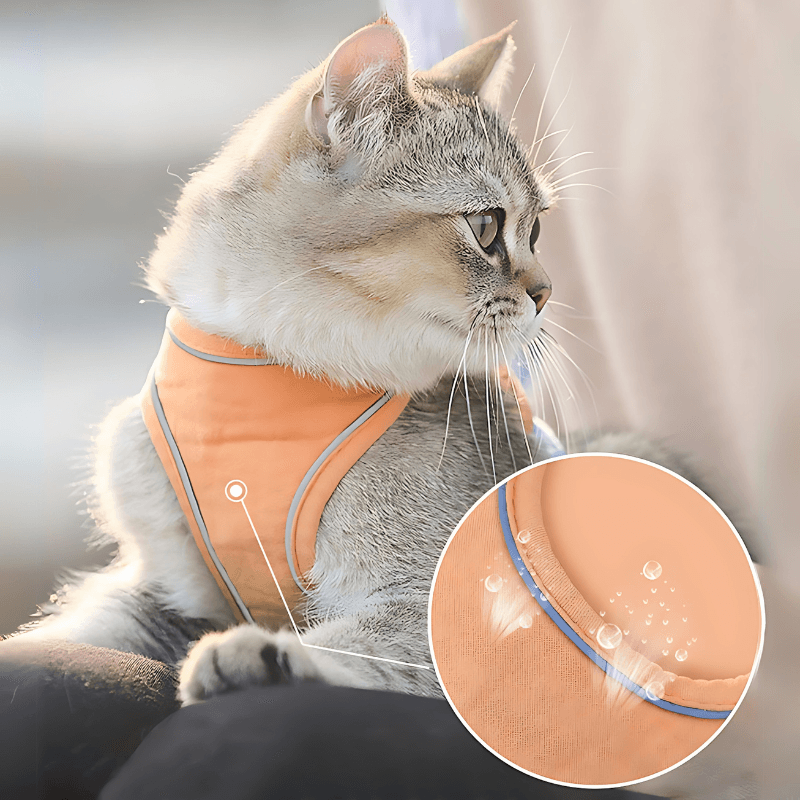 Cat Traction Harness - Pawtunity