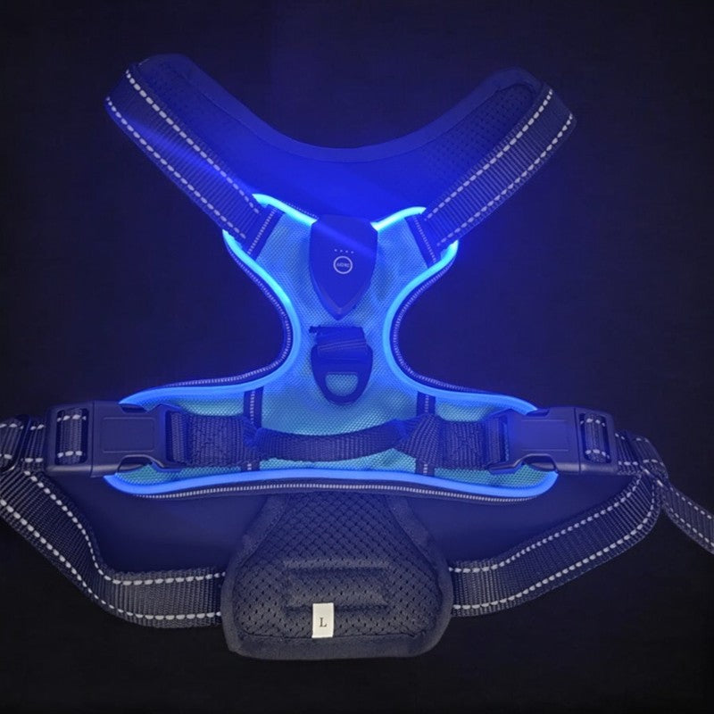 Simple LED Harness