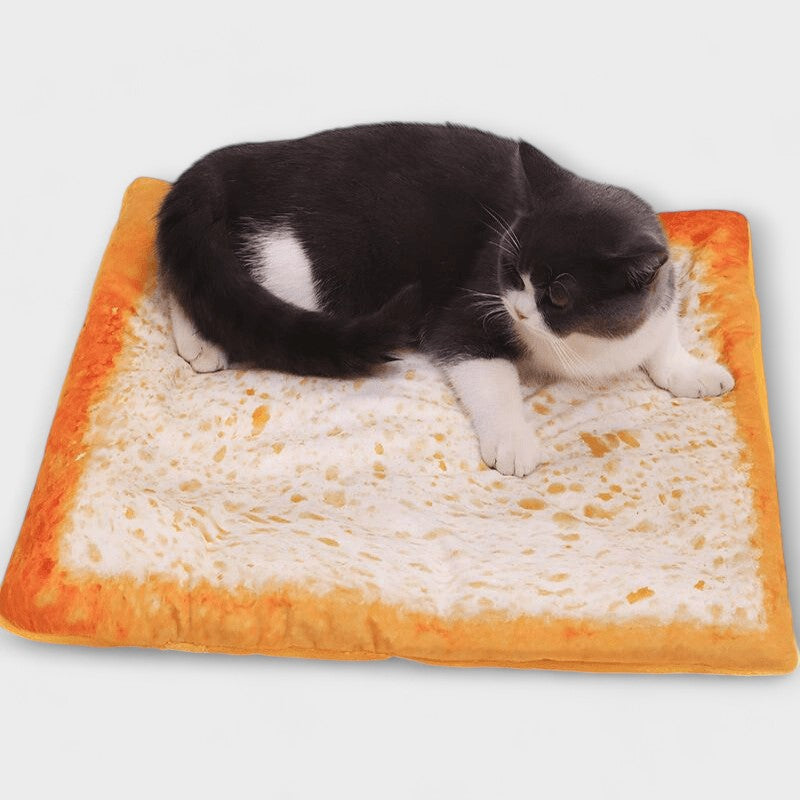 Funny Pet Mat