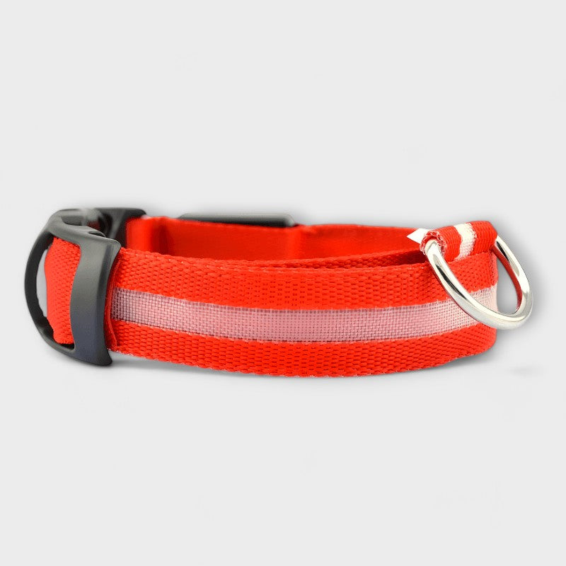 Dog LED Collar