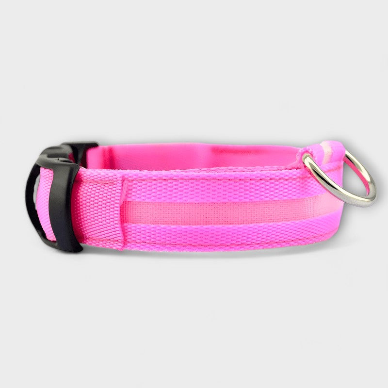 Dog LED Collar