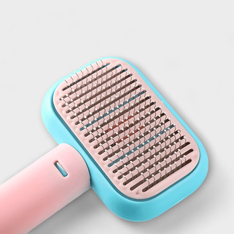 Pet Brush