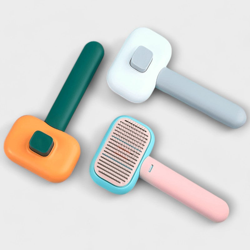 Pet Brush