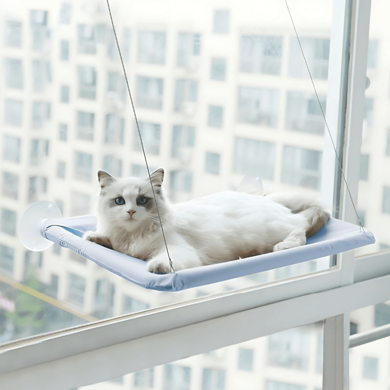 Window Mounted Cat Bed - Pawtunity