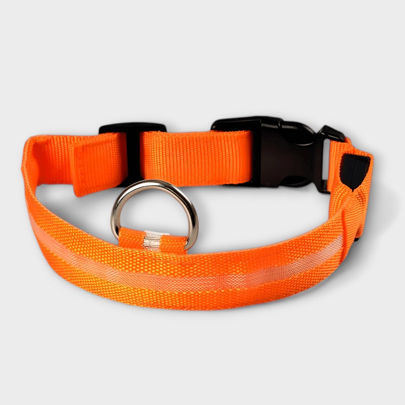 Dog LED Collar