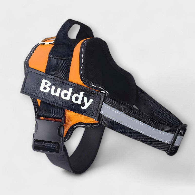 Personalized Dog Harness