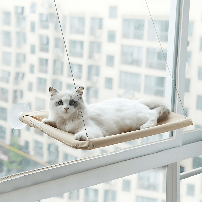 Window Mounted Cat Bed - Pawtunity