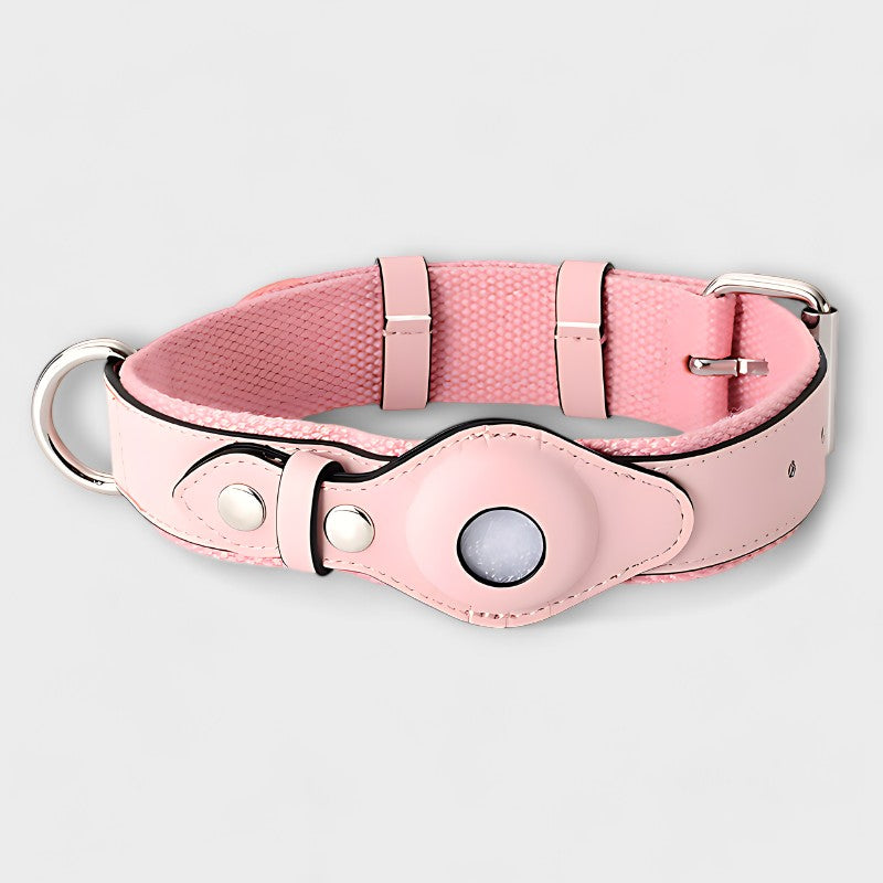 Pet AirTag Collar