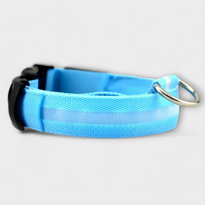 Dog LED Collar