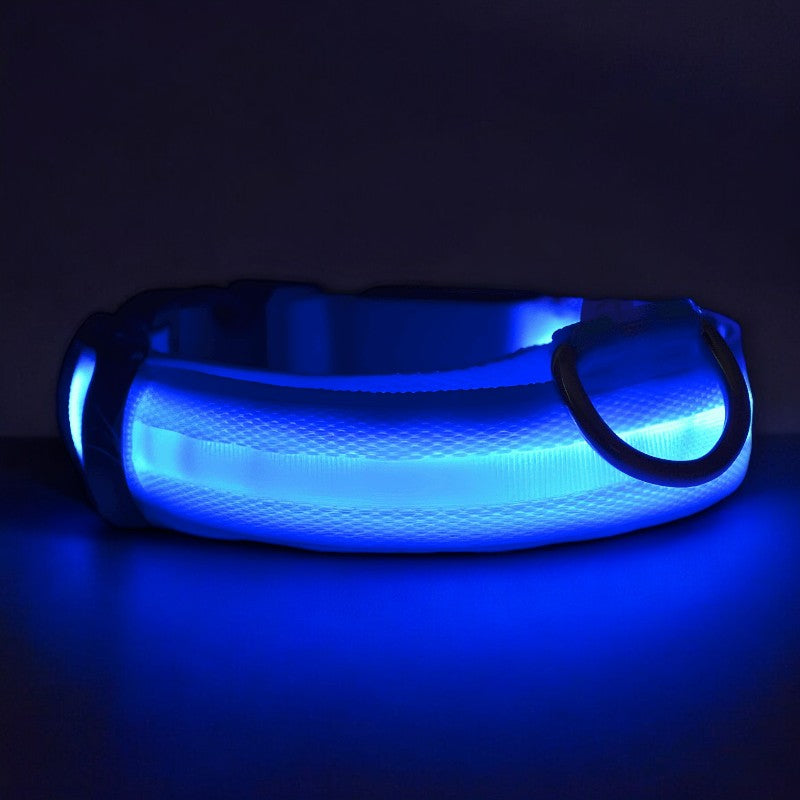 Dog LED Collar