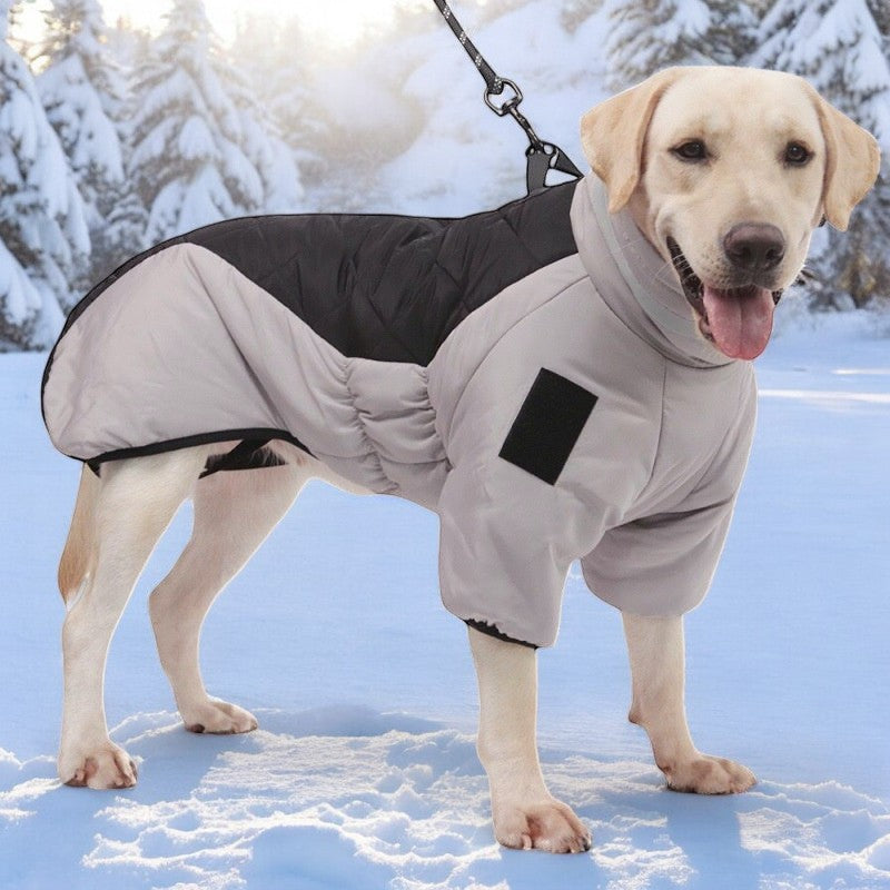 Dog Winter Coat