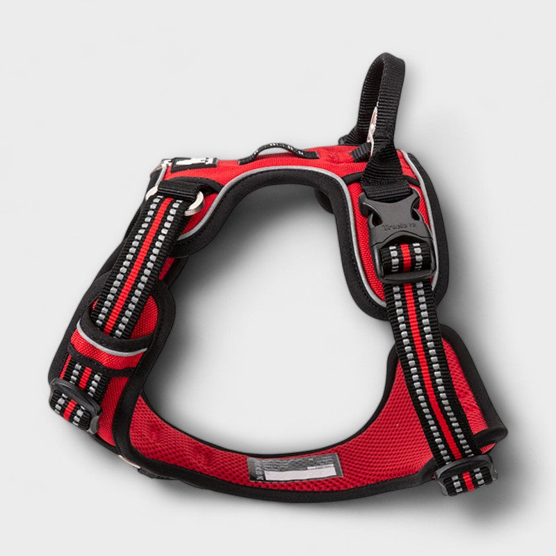 Dog Traction Harness