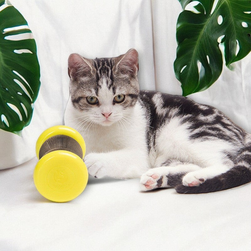 Cat Toy Wheel